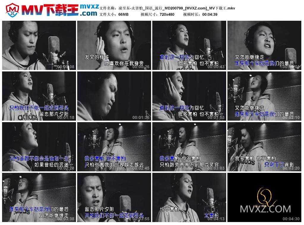 凌至东-太害怕_国语_流行_MD200799